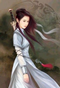 襄阳战记